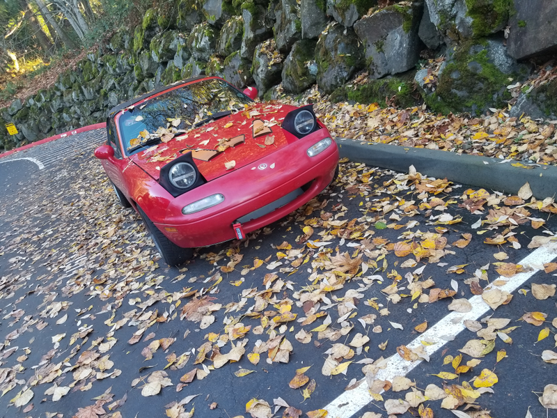 Illustration for article titled Basically a GT car at this point